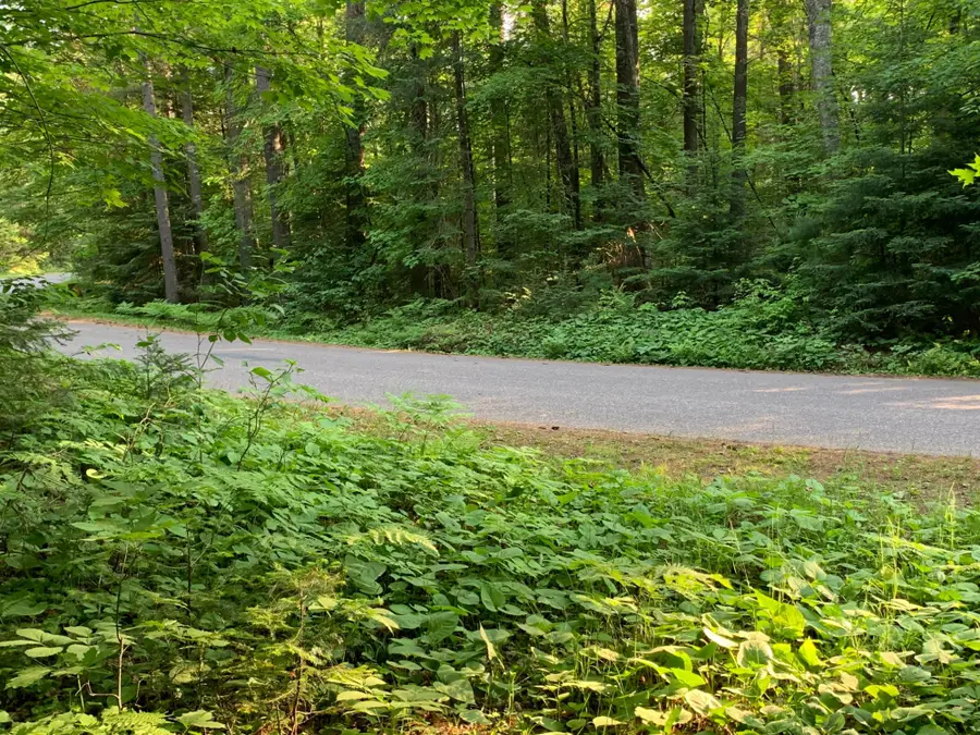 Lot 22 Deer Trail Rd, Presque Isle, WI 54557 - #3