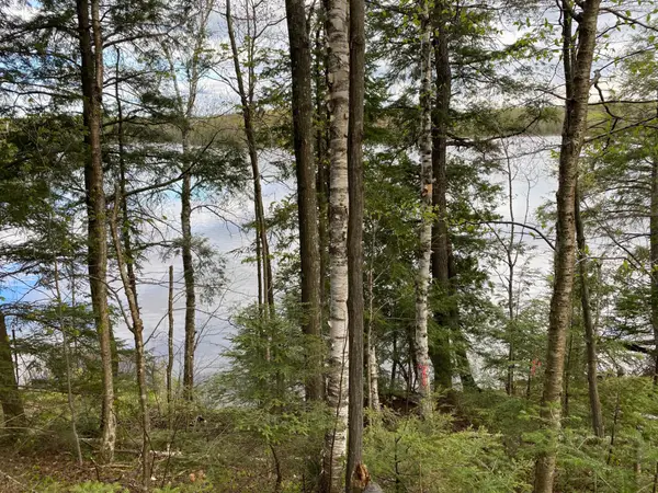 Lot #1 Channel Rd, Watersmeet, MI 49969