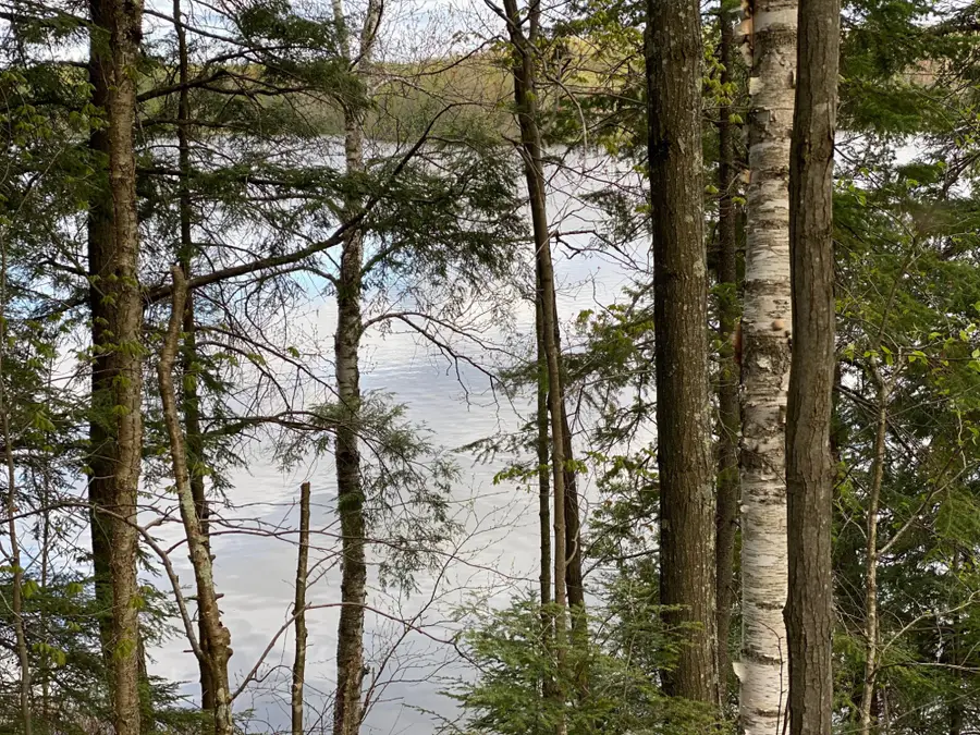 Lot #1 Channel Rd, Watersmeet, MI 49969 - #2