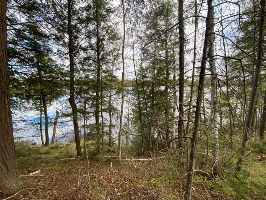 Lot #1 Channel Rd, Watersmeet, MI 49969 - #3