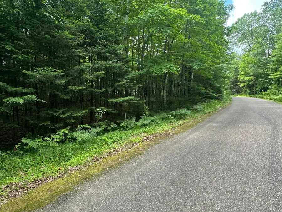 3.3AC Black Forest Rd, Presque Isle, WI 54557 - #2