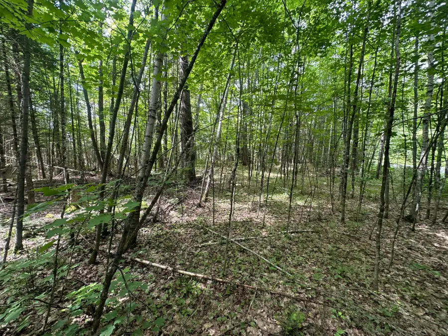 5.6AC Black Forest Rd, Presque Isle, WI 54557 - #3