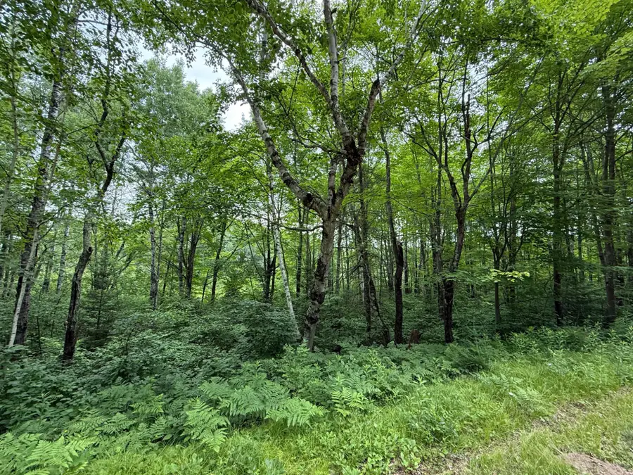 ON Soo Lake Rd E, Phillips, WI 54555 - #3