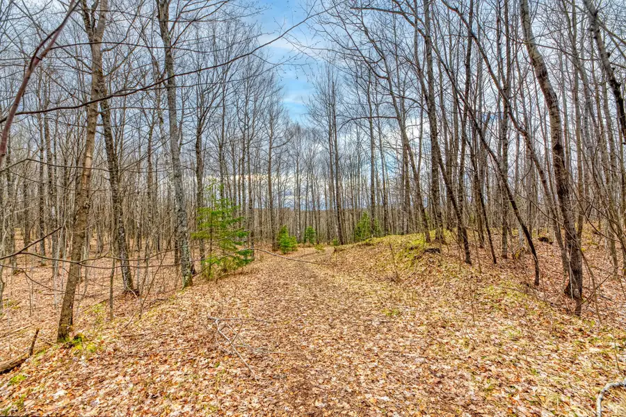 Off Johnson Ln #Back Lot, Winchester, WI 54557 - #2