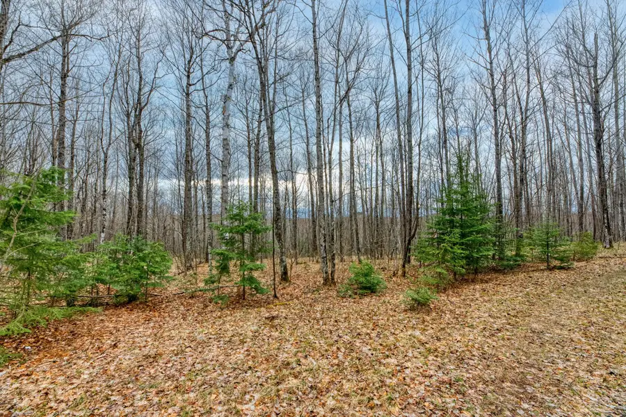 Off Johnson Ln #Back Lot, Winchester, WI 54557 - #3