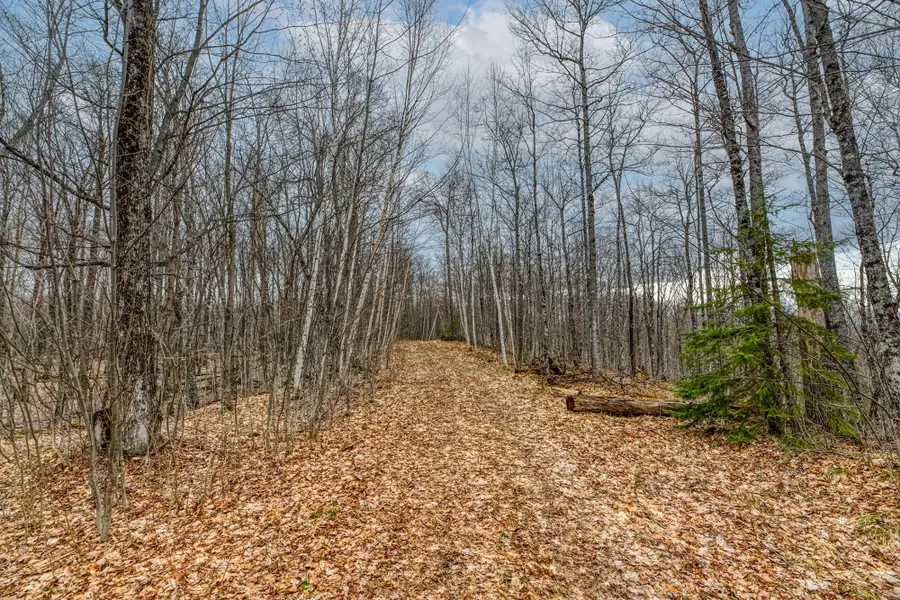 Off Johnson Ln #Lot 7, Winchester, WI 54557 - #2