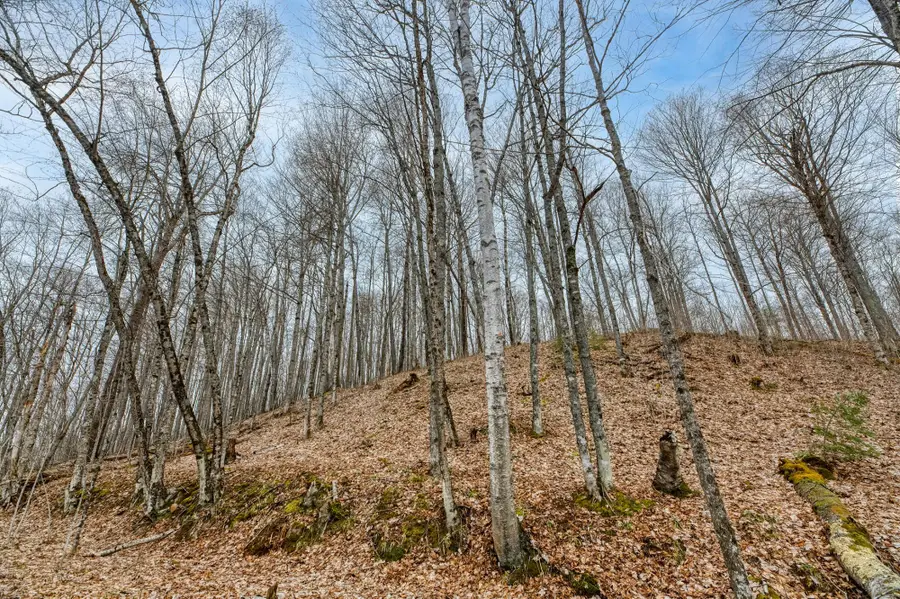 Off Johnson Ln #Lot 8, Winchester, WI 54557 - #2