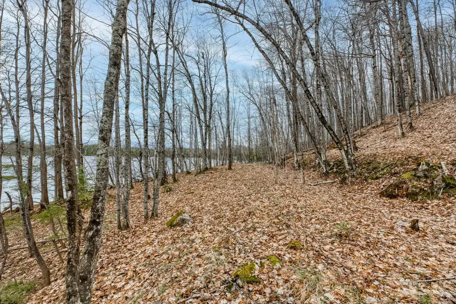 Off Johnson Ln #Lot 8, Winchester, WI 54557 - #3