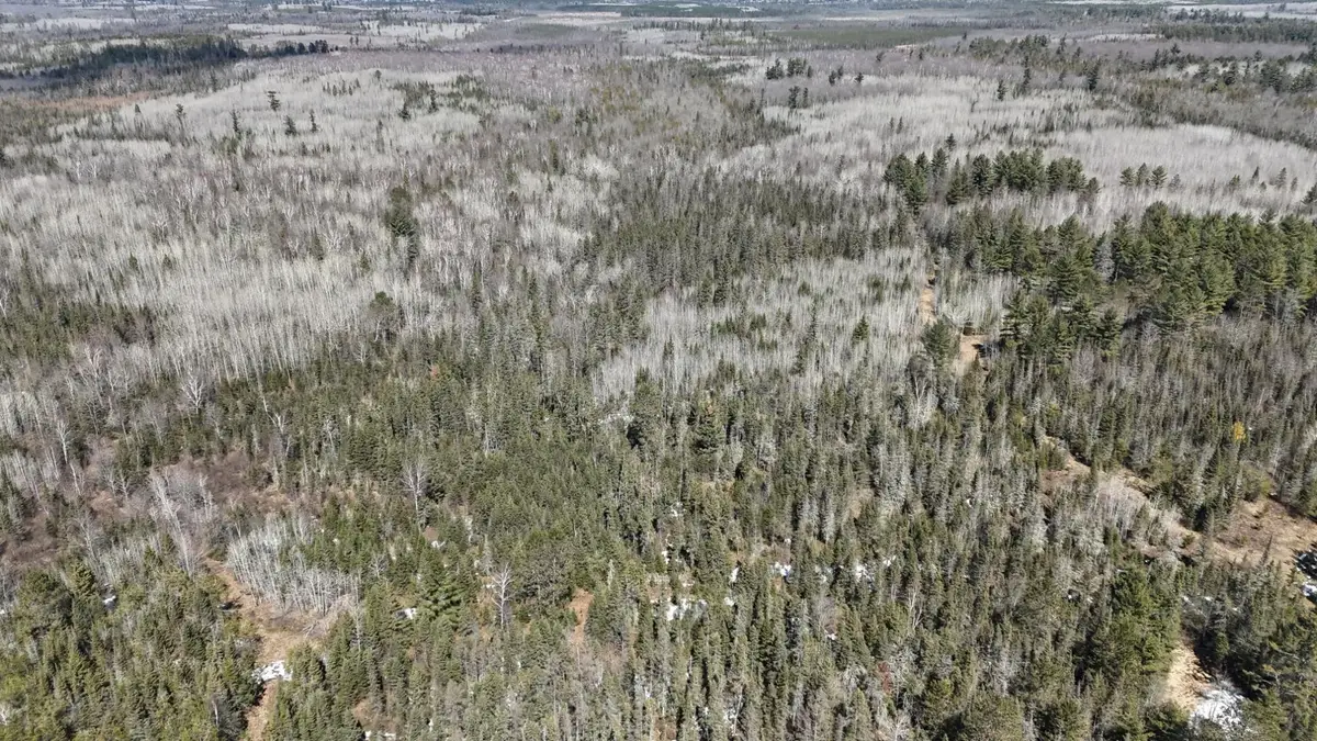 80 Acres Cth Cc, Tomahawk, WI 54487 - #1