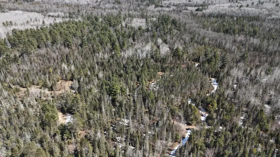 80 Acres Cth Cc, Tomahawk, WI 54487 - #2