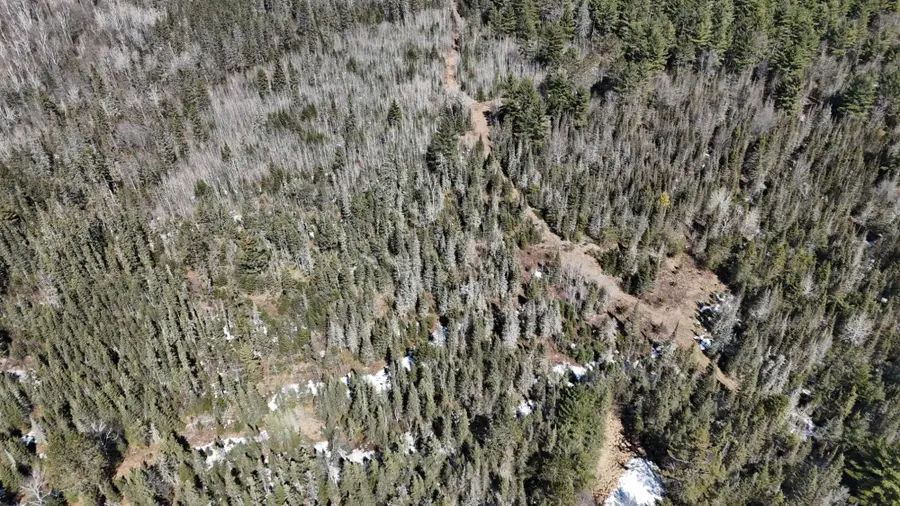 80 Acres Cth Cc, Tomahawk, WI 54487 - #3
