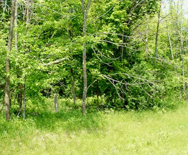 Lot 13 Margaret Ln, Park Falls, WI 54552