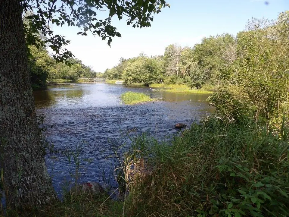 4544W Blaisdell Ct, Loretta, WI 54896 - #1