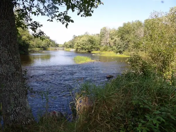 4544W Blaisdell Ct, Loretta, WI 54896