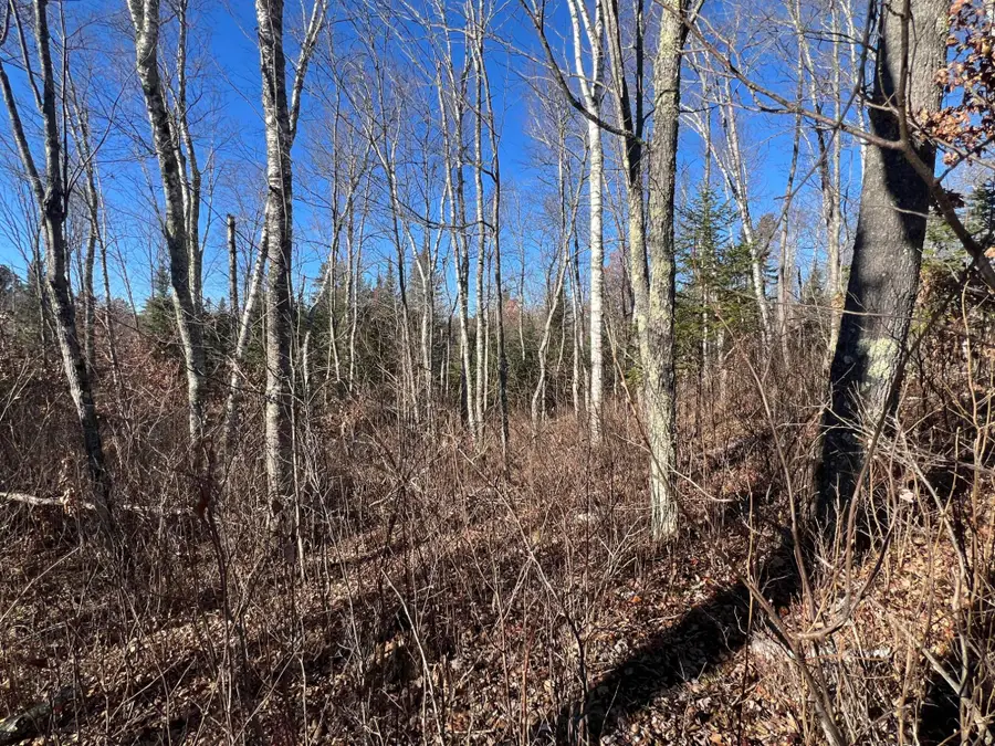 ON Heart Lake Rd, Land O Lakes, WI 54540 - #3
