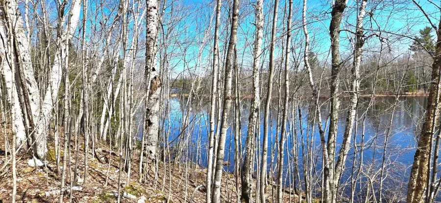 ON Maple Rd, Presque Isle, WI 54557 - #2