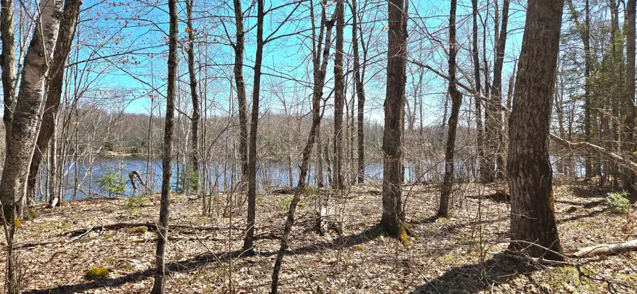 ON Maple Rd, Presque Isle, WI 54557 - #3