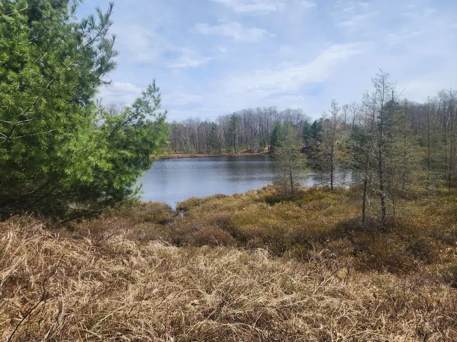 3972 Leaf Ln, Rhinelander, WI 54501 - #2