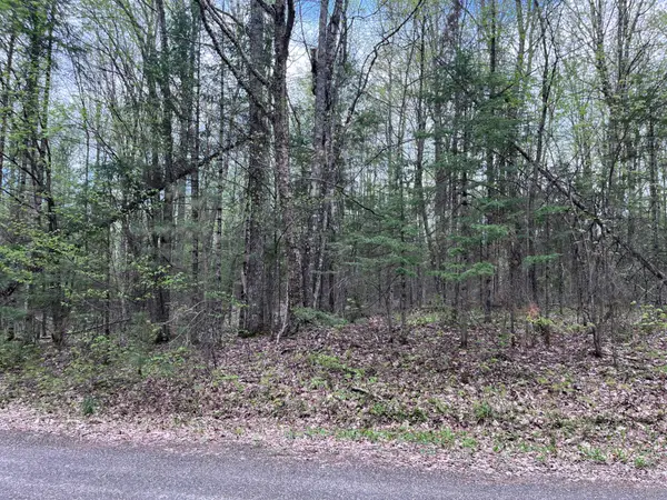 Off Moonshine Valley Rd #Lot 14, Presque Isle, WI 54512