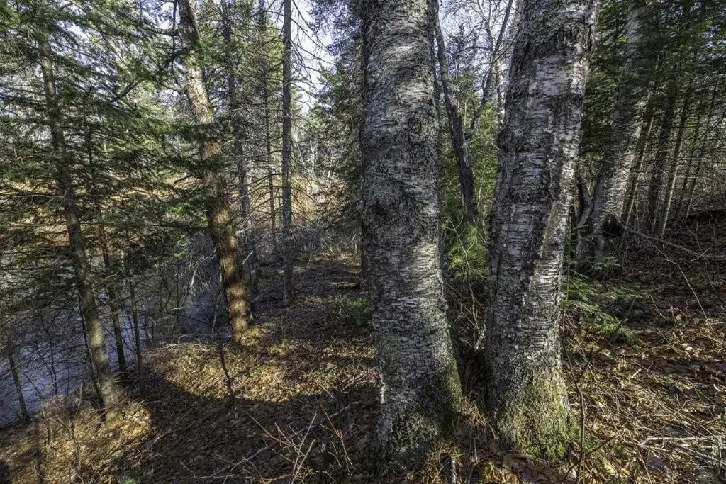 Lot 9 Cth H, Boulder Junction, WI 54512 - #1