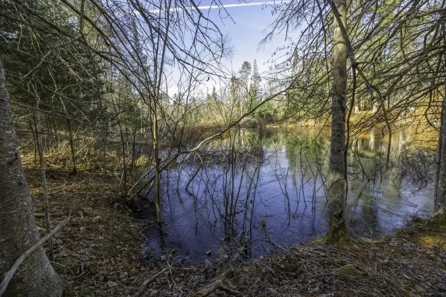 Lot 9 Cth H, Boulder Junction, WI 54512 - #2