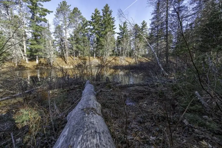 Lot 9 Cth H, Boulder Junction, WI 54512 - #3