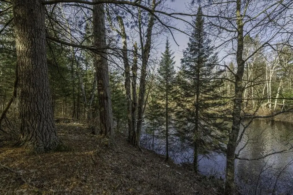 Lot # 8 Cth H, Boulder Junction, WI 54512 - #1