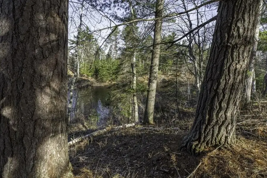 Lot # 8 Cth H, Boulder Junction, WI 54512 - #2