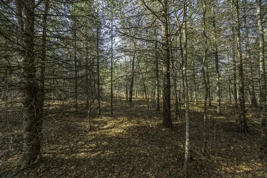 Lot # 8 Cth H, Boulder Junction, WI 54512 - #3