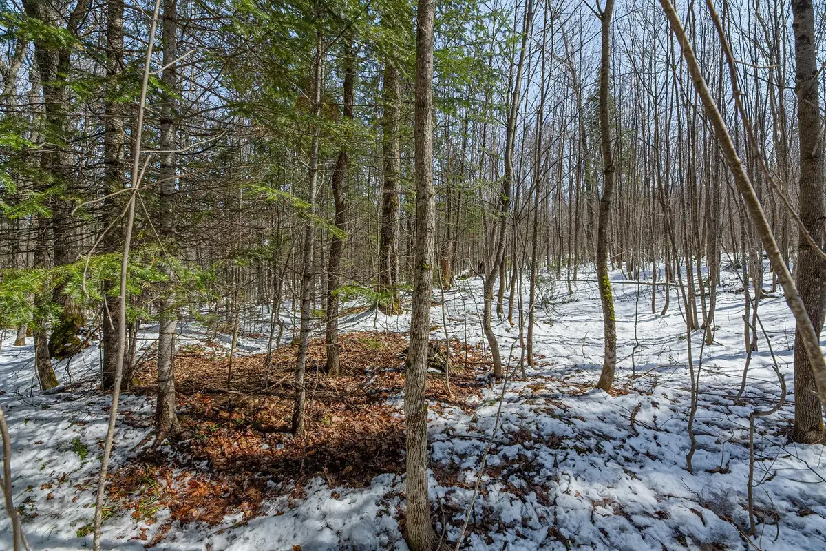 56+/- Ac Hwy 77, Randolph, WI 53956 - #1