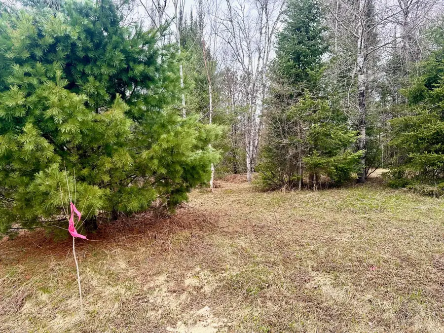 2 Acres St Louis Rd, Randolph, WI 53956 - #2