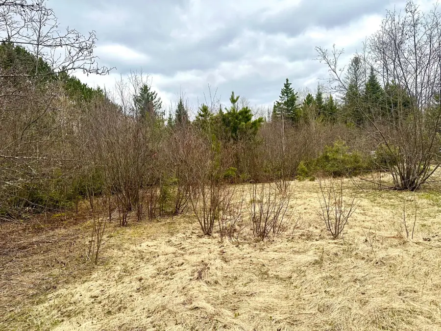 2 Acres St Louis Rd, Randolph, WI 53956 - #3