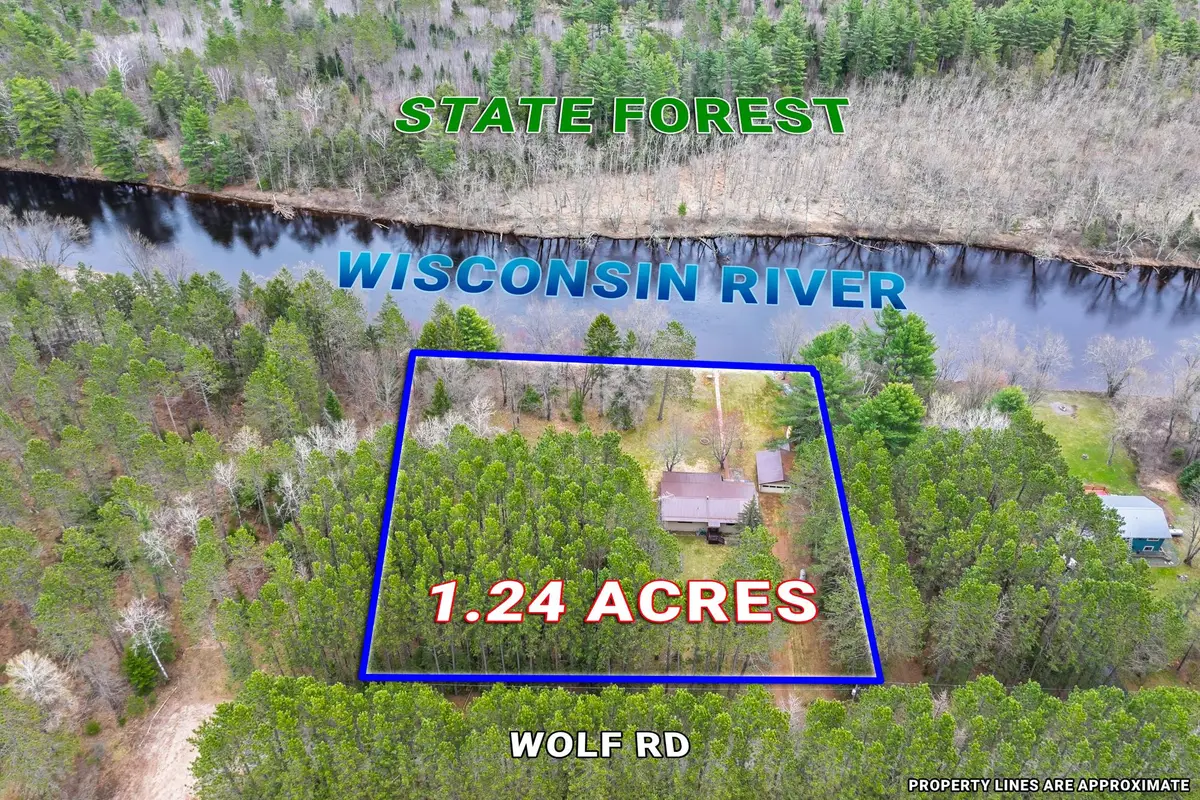 7453 Wolf Rd, Lake Tomahawk, WI 54539 - #1