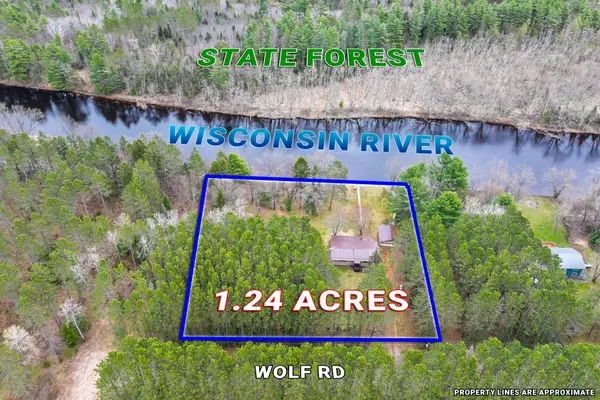 7453 Wolf Rd, Lake Tomahawk, WI 54539
