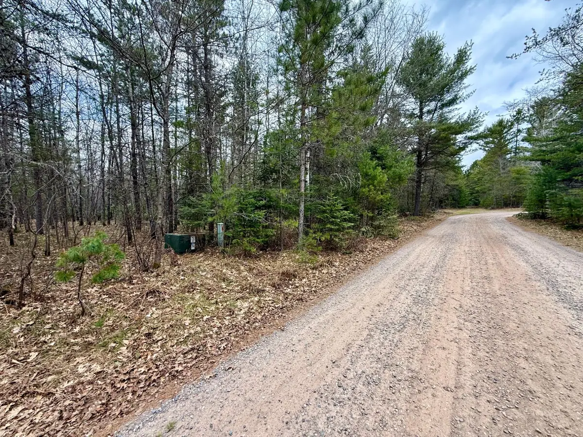 ON Snowshoe Ln, Land O Lakes, WI 54540 - #1