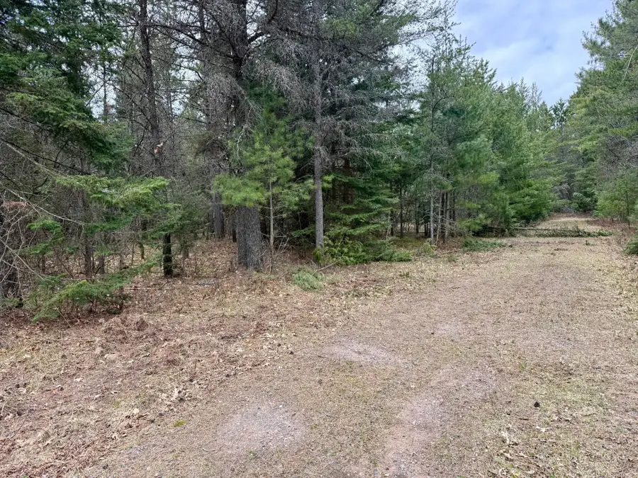 ON Snowshoe Ln, Land O Lakes, WI 54540 - #3