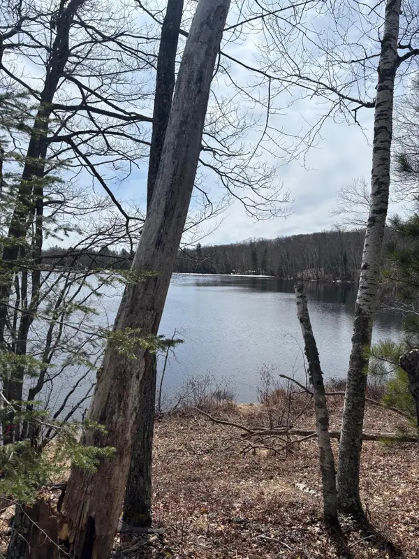 OFF Cth S, Land O Lakes, WI 54540