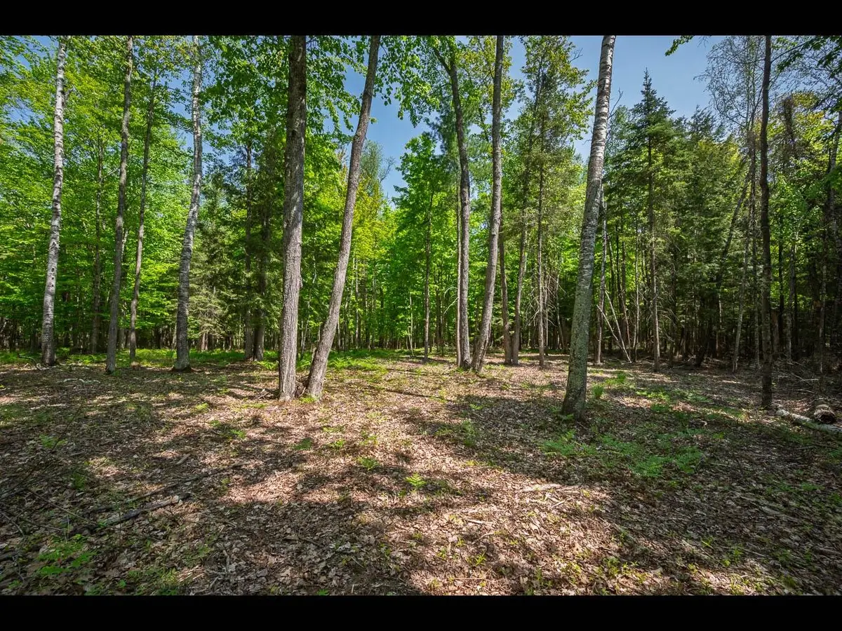 Lot 24 Bonita Pt, Eagle River, WI 54521 - #1