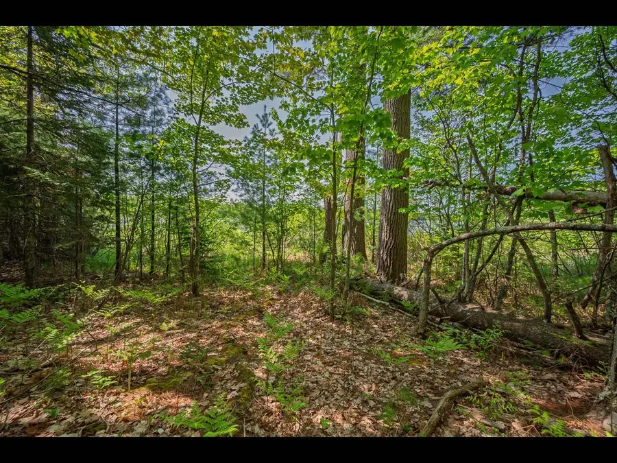Lot 24 Bonita Pt, Eagle River, WI 54521 - #2
