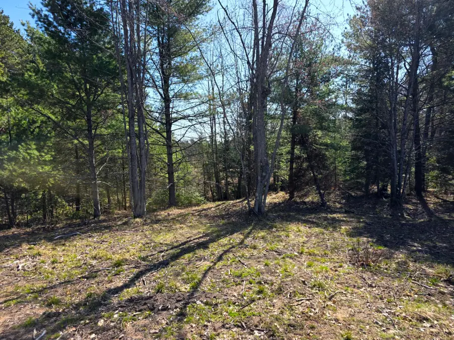Off Hwy 45 #5.01 AC, Land O Lakes, WI 54540 - #3