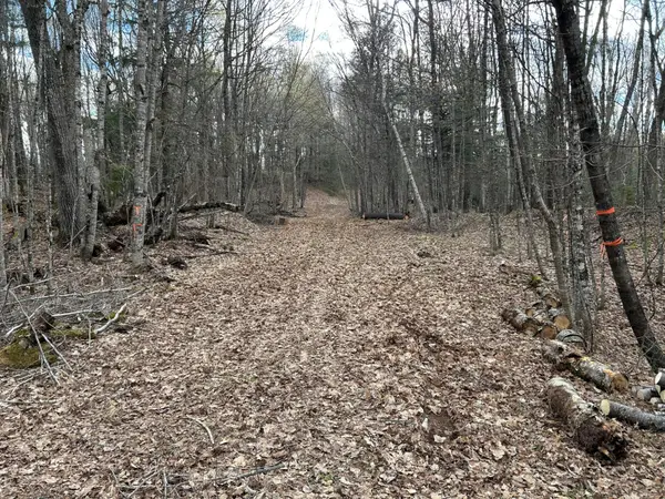 TBD Tall Timbers Rd, Presque Isle, WI 54557