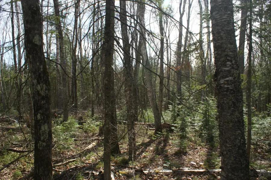 TBD Tall Timbers Rd, Presque Isle, WI 54557 - #2