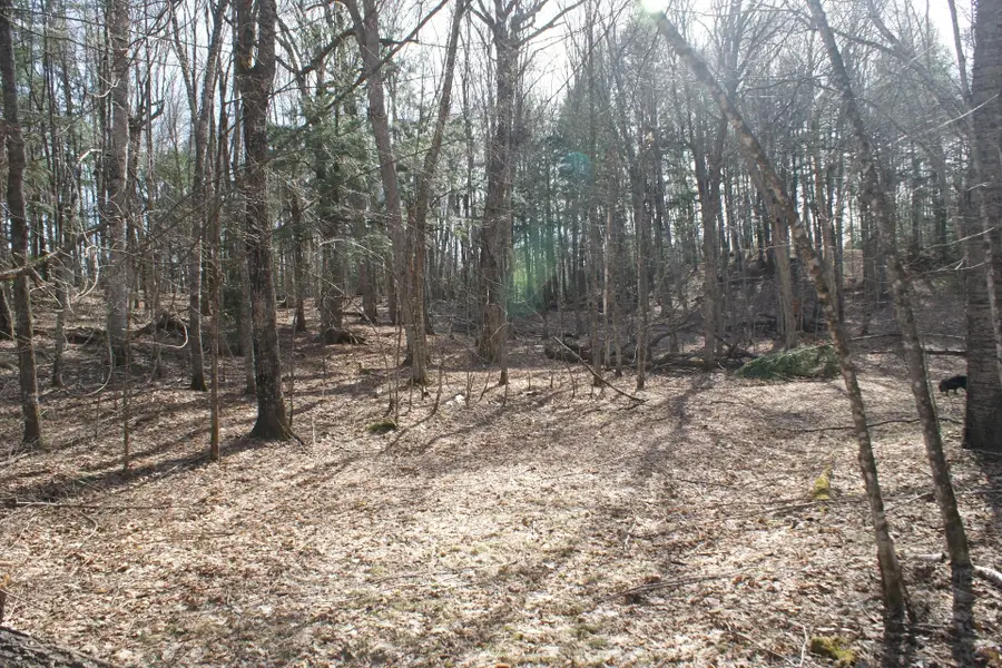 TBD Tall Timbers Rd, Presque Isle, WI 54557 - #3