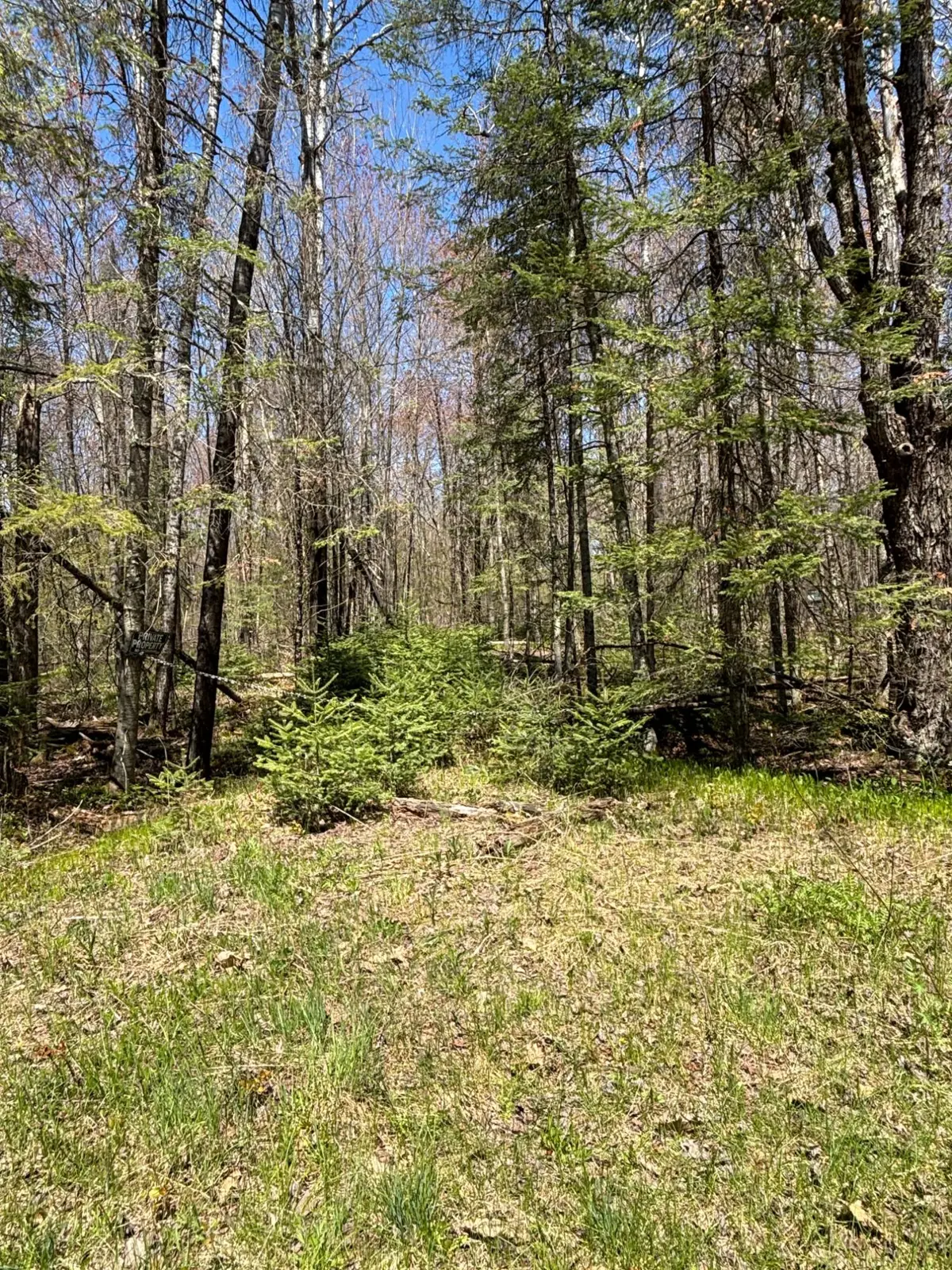 0 Vascheau Rd, Merrill, WI 54452 - #1