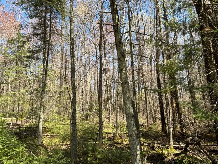 0 Vascheau Rd, Merrill, WI 54452 - #2