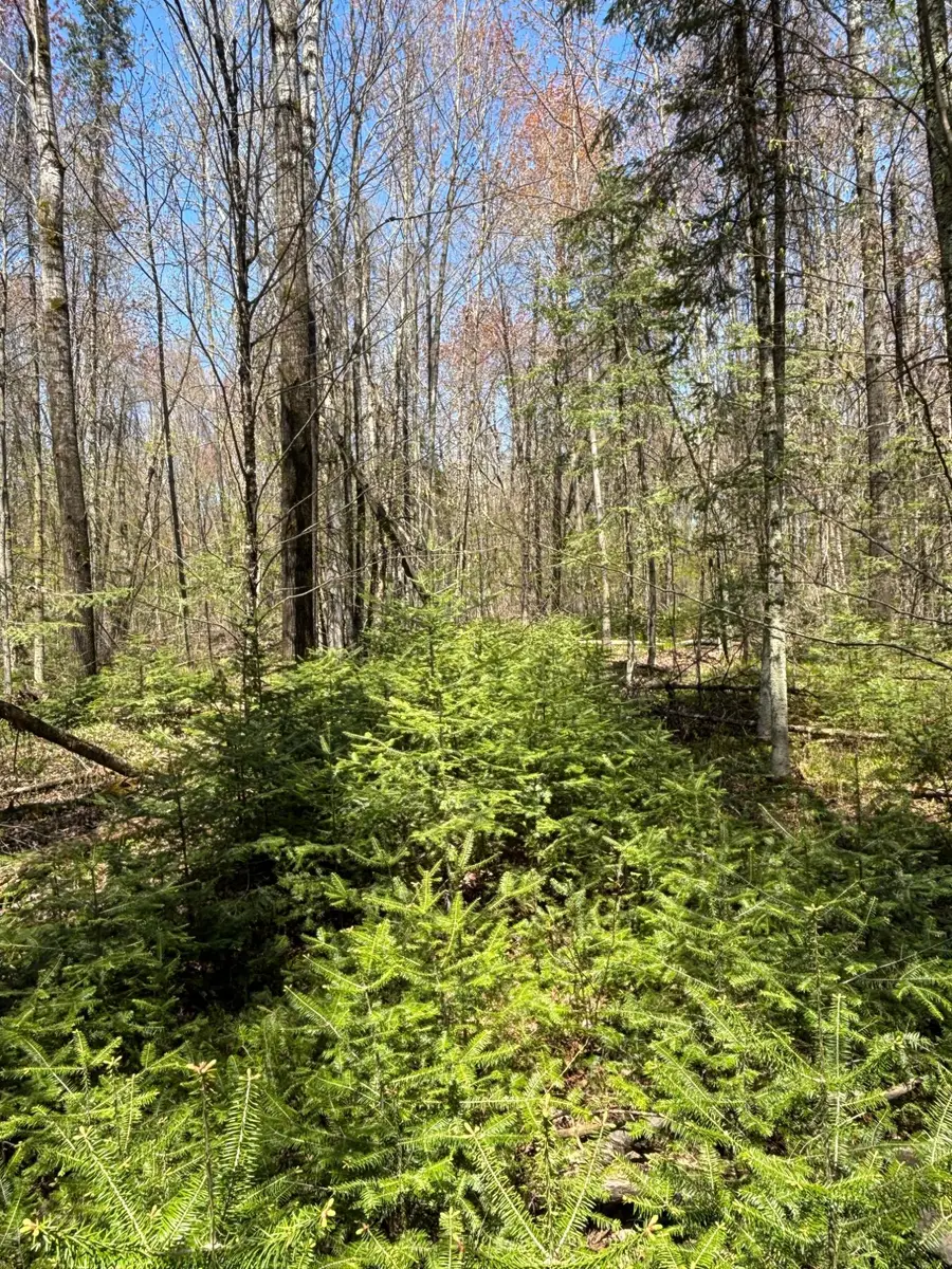 0 Vascheau Rd, Merrill, WI 54452 - #3