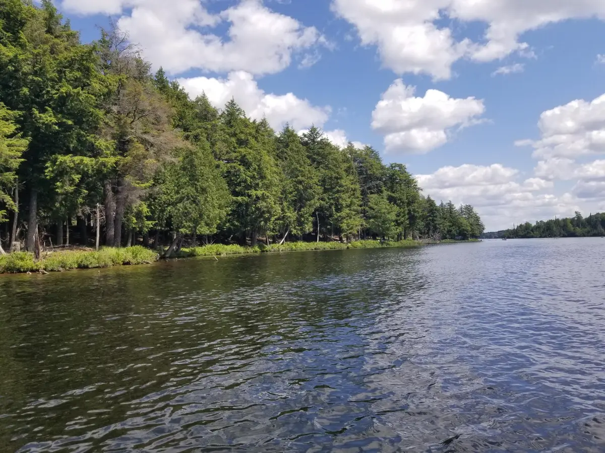 5 AC Sylvan Isle Dr, Watersmeet, MI 49969 - #1