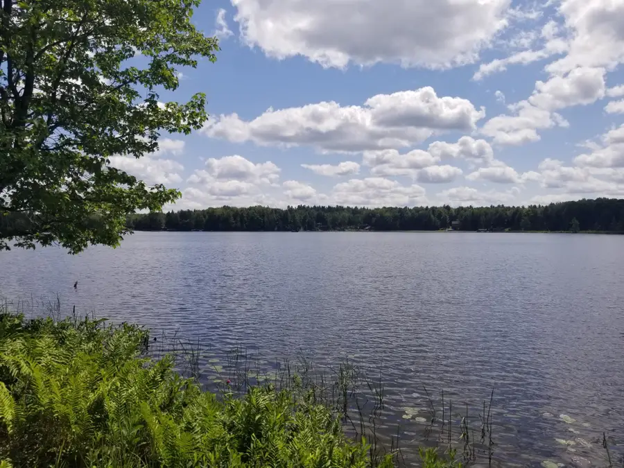 5 AC Sylvan Isle Dr, Watersmeet, MI 49969 - #2