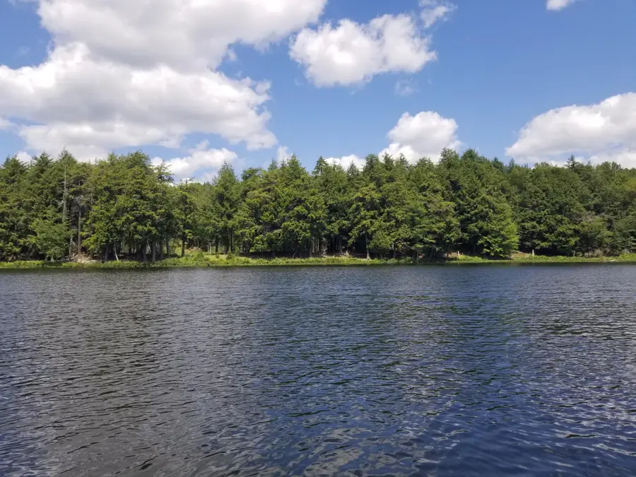5 AC Sylvan Isle Dr, Watersmeet, MI 49969 - #3