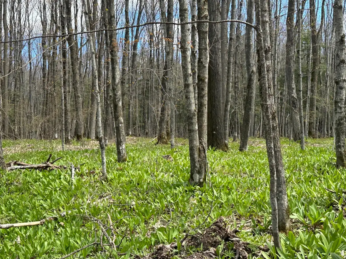 Lot 3 Shore Rd E, Marenisco, MI 49947 - #1